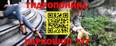 шишки Конаково