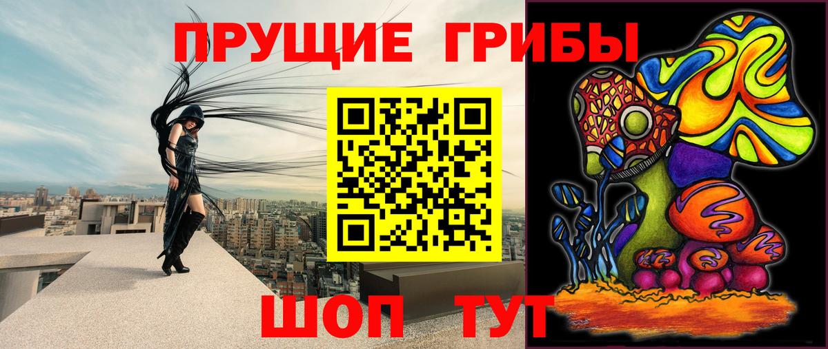 Псилоцибиновые грибы Psilocybine cubensis Будённовск