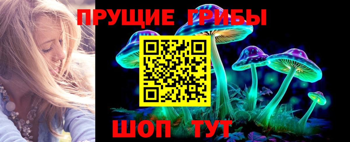 Будённовск  Псилоцибиновые грибы MAGIC MUSHROOMS  Вход с VPN 