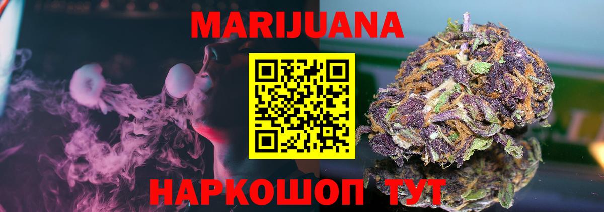 Конопля гибрид Будённовск